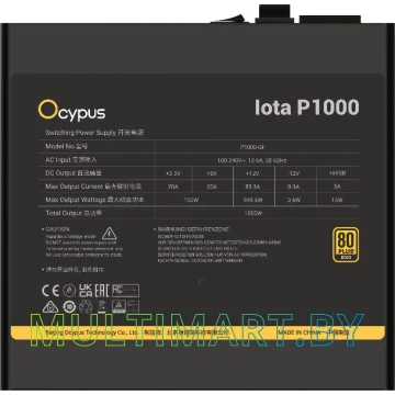 Блок питания Ocypus Iota P1000 1000W (Iota-P1000-G1FFBK024X-EU) картинка 2